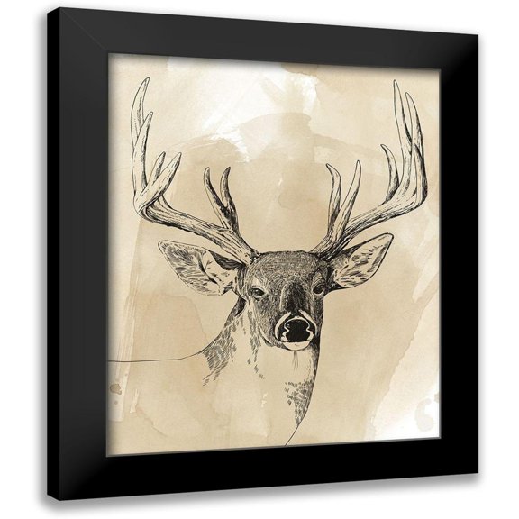Popp, Grace 12x14 Black Modern Framed Museum Art Print Titled - Burnished Buck I