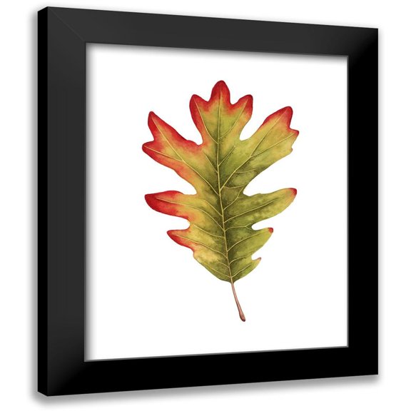 Popp, Grace 12x14 Black Modern Framed Museum Art Print Titled - Fall Leaf Study II