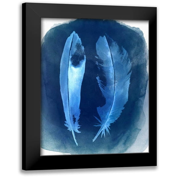 Popp, Grace 12x14 Black Modern Framed Museum Art Print Titled - Feather Negatives I