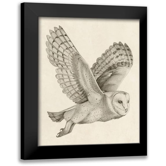 Popp, Grace 12x14 Black Modern Framed Museum Art Print Titled - Night Owl II