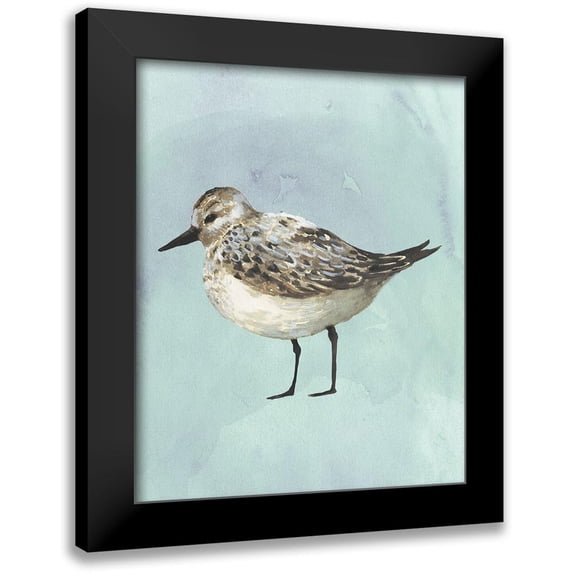Popp, Grace 12x14 Black Modern Framed Museum Art Print Titled - Watercolor Beach Bird V