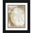 thumbnail image 1 of Popp, Grace 12x14 Black Ornate Wood Framed with Double Matting Museum Art Print Titled - Dry Sand Dollar II, 1 of 4