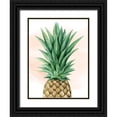 thumbnail image 1 of Popp, Grace 12x14 Black Ornate Wood Framed with Double Matting Museum Art Print Titled - Pineapple on Coral I, 1 of 4