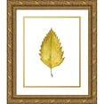 thumbnail image 1 of Popp, Grace 12x14 Gold Ornate Wood Framed with Double Matting Museum Art Print Titled - Fall Leaf Study I, 1 of 4