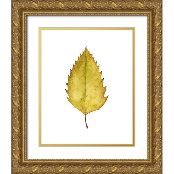 Popp, Grace 12x14 Gold Ornate Wood Framed with Double Matting Museum Art Print Titled - Fall Leaf Study I