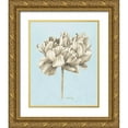 thumbnail image 1 of Popp, Grace 12x14 Gold Ornate Wood Framed with Double Matting Museum Art Print Titled - Graphite Botanical Study IV, 1 of 4