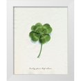 thumbnail image 1 of Popp, Grace 12x14 White Modern Wood Framed Museum Art Print Titled - Lucky Charm I, 1 of 4