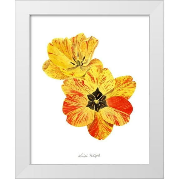 Popp, Grace 12x14 White Modern Wood Framed Museum Art Print Titled - Olives Tulips I