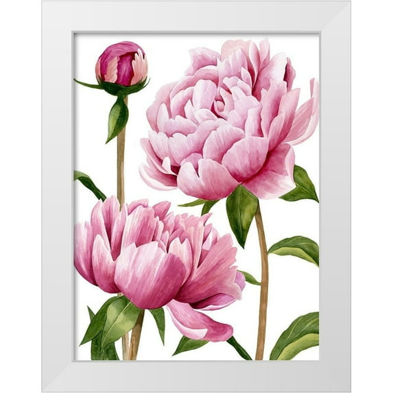 Popp, Grace 12x14 White Modern Wood Framed Museum Art Print Titled - Winsome Peonies I