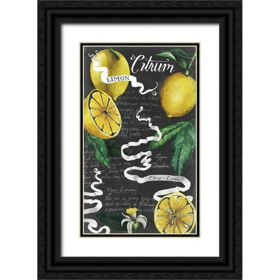 Popp, Grace 12x18 Black Ornate Wood Framed with Double Matting Museum Art Print Titled - Chalkboard Citrus I