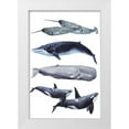 thumbnail image 1 of Popp, Grace 13x18 White Modern Wood Framed Museum Art Print Titled - Custom Whale Stack II, 1 of 4