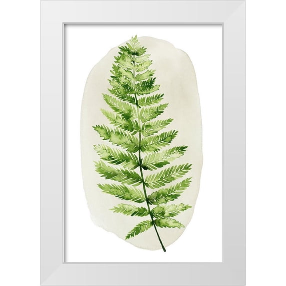 Popp, Grace 13x18 White Modern Wood Framed Museum Art Print Titled - Spot Fern III