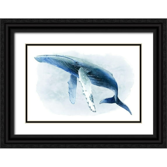Popp, Grace 14x11 Black Ornate Wood Framed with Double Matting Museum Art Print Titled - Watercolor Humpback II