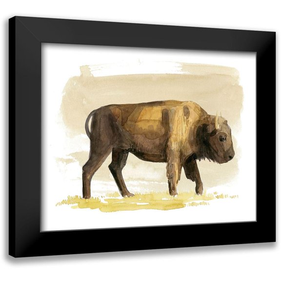 Popp, Grace 14x12 Black Modern Framed Museum Art Print Titled - Bison Watercolor Sketch I