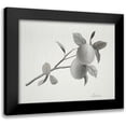 thumbnail image 1 of Popp, Grace 14x12 Black Modern Framed Museum Art Print Titled - Limonero II, 1 of 5
