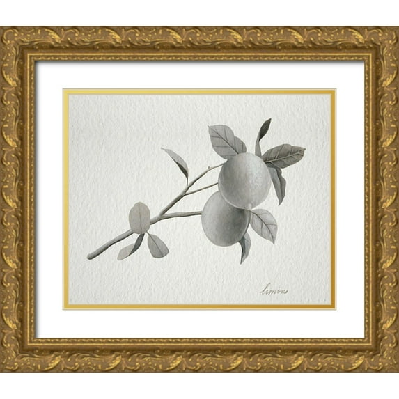 Popp, Grace 14x12 Gold Ornate Wood Framed with Double Matting Museum Art Print Titled - Limonero II
