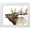 thumbnail image 1 of Popp, Grace 14x12 White Modern Wood Framed Museum Art Print Titled - Call of the Elk II, 1 of 4