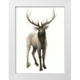 thumbnail image 1 of Popp, Grace 14x18 White Modern Wood Framed Museum Art Print Titled - Majestic Wildlife II, 1 of 4