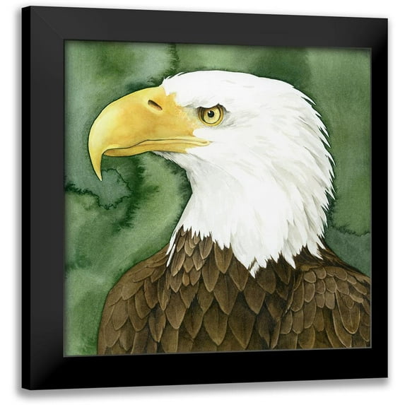 Popp, Grace 15x15 Black Modern Framed Museum Art Print Titled - Bald Eagle Stare II