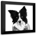 thumbnail image 1 of Popp, Grace 15x15 Black Modern Framed Museum Art Print Titled - Border Collie I, 1 of 5
