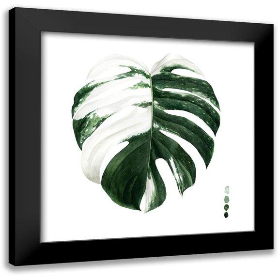 Popp, Grace 15x15 Black Modern Framed Museum Art Print Titled - Custom Variegated Monstera II