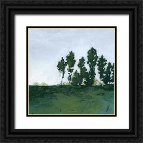 Popp, Grace 15x15 Black Ornate Wood Framed with Double Matting Museum Art Print Titled - Northern Coppice II