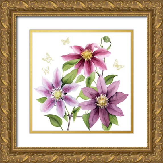 Popp, Grace 15x15 Gold Ornate Wood Framed with Double Matting Museum Art Print Titled - Clematis Climb II