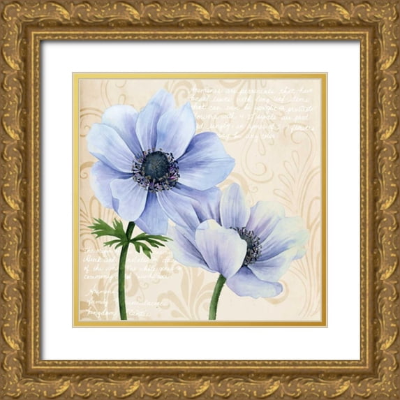 Popp, Grace 15x15 Gold Ornate Wood Framed with Double Matting Museum Art Print Titled - Elegant Anemone II