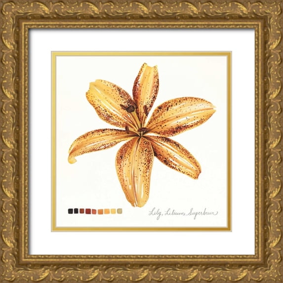 Popp, Grace 15x15 Gold Ornate Wood Framed with Double Matting Museum Art Print Titled - Lilium IV