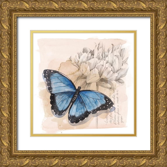 Popp, Grace 15x15 Gold Ornate Wood Framed with Double Matting Museum Art Print Titled - Shadow Box Butterfly II