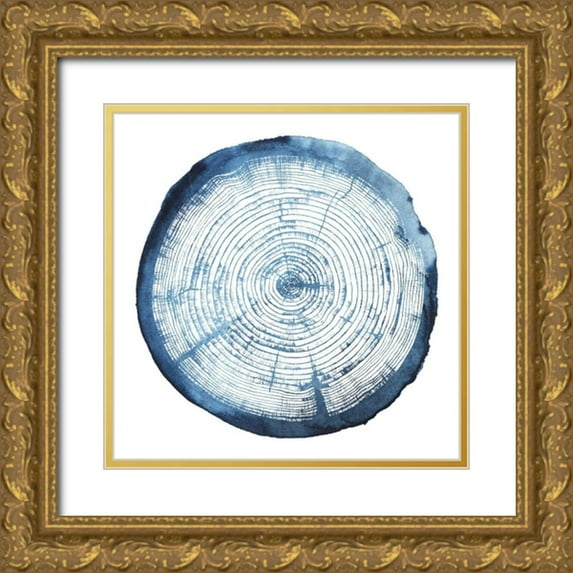 Popp, Grace 15x15 Gold Ornate Wood Framed with Double Matting Museum Art Print Titled - Tree Ring Overlay I