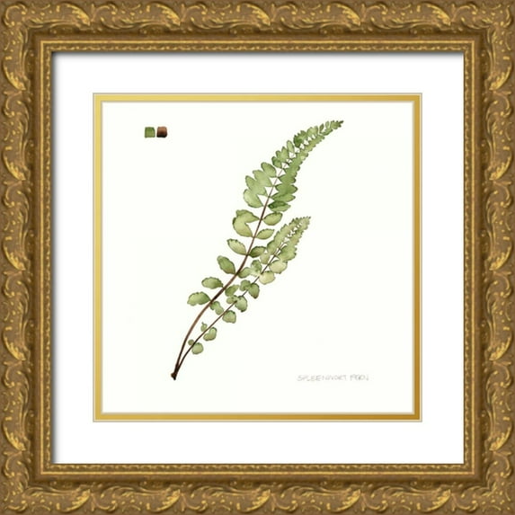 Popp, Grace 15x15 Gold Ornate Wood Framed with Double Matting Museum Art Print Titled - Watercolor Leaf Study I