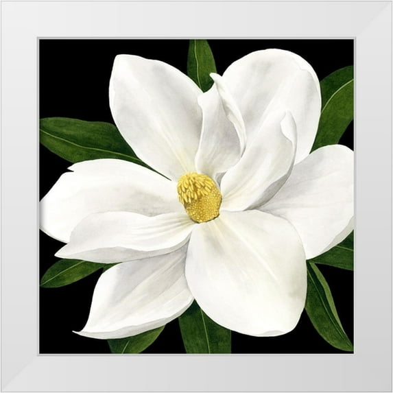 Popp, Grace 15x15 White Modern Wood Framed Museum Art Print Titled - Midnight Magnolia II