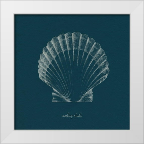 Popp, Grace 15x15 White Modern Wood Framed Museum Art Print Titled - Shell Study on Teal III