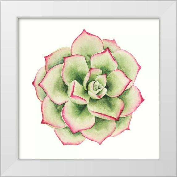 Popp, Grace 15x15 White Modern Wood Framed Museum Art Print Titled - Tropical Plant IV