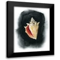 thumbnail image 1 of Popp, Grace 15x18 Black Modern Framed Museum Art Print Titled - Conch on Black I, 1 of 5