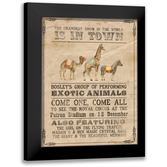 Popp, Grace 15x18 Black Modern Framed Museum Art Print Titled - Vintage Circus III