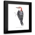thumbnail image 1 of Popp, Grace 15x18 Black Modern Framed Museum Art Print Titled - Watercolor Woodpecker III, 1 of 5