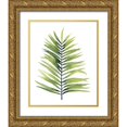 thumbnail image 1 of Popp, Grace 15x18 Gold Ornate Wood Framed with Double Matting Museum Art Print Titled - Palm Water II, 1 of 4