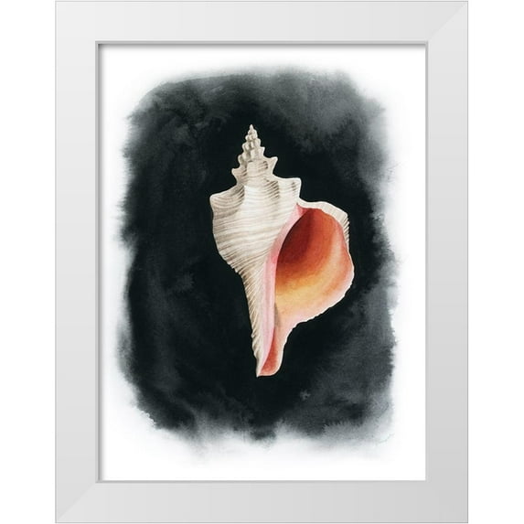 Popp, Grace 15x18 White Modern Wood Framed Museum Art Print Titled - Conch on Black II