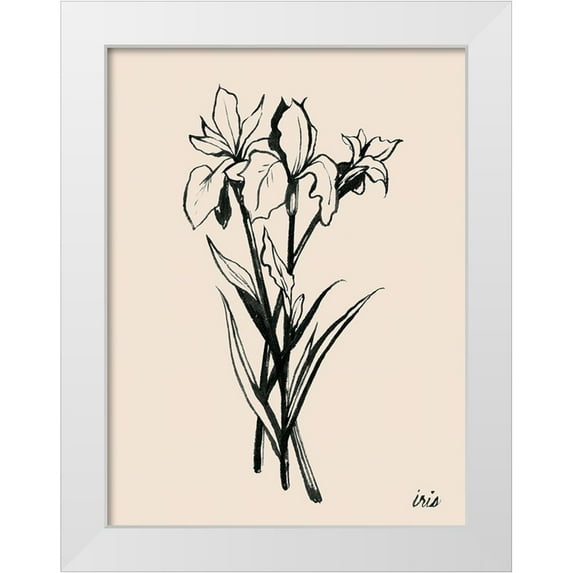 Popp, Grace 15x18 White Modern Wood Framed Museum Art Print Titled - Iris Sketch II