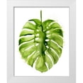 thumbnail image 1 of Popp, Grace 15x18 White Modern Wood Framed Museum Art Print Titled - Monstera I, 1 of 4