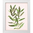 thumbnail image 1 of Popp, Grace 15x18 White Modern Wood Framed Museum Art Print Titled - Soft Pink Leaves II, 1 of 4