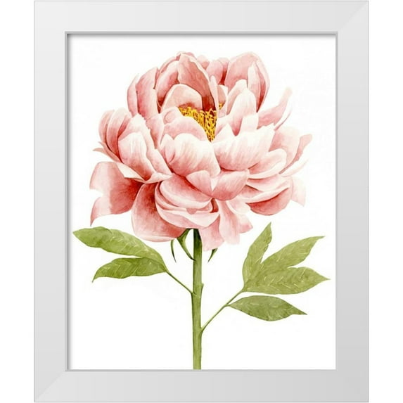 Popp, Grace 15x18 White Modern Wood Framed Museum Art Print Titled - Watercolor Peony II