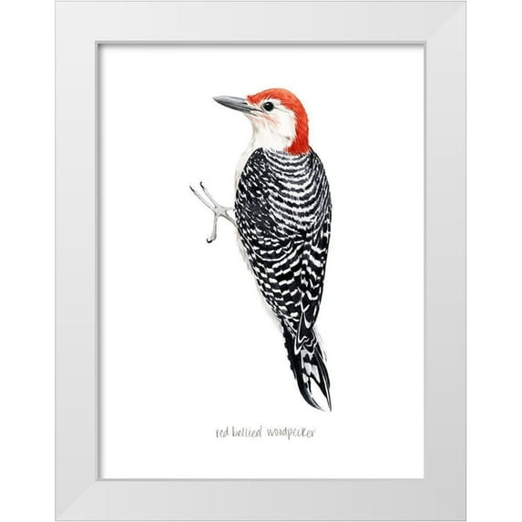 Popp, Grace 15x18 White Modern Wood Framed Museum Art Print Titled - Watercolor Woodpecker III