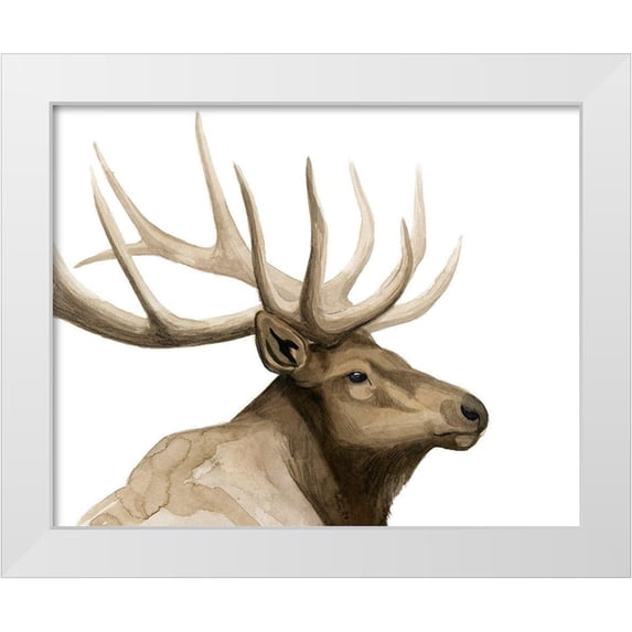 Popp, Grace 18x15 White Modern Wood Framed Museum Art Print Titled - Call of the Elk I