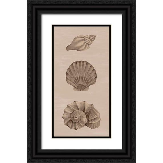 Popp, Grace 18x32 Black Ornate Wood Framed with Double Matting Museum Art Print Titled - Shells on Sepia II