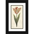 thumbnail image 1 of Popp, Grace 18x32 Black Ornate Wood Framed with Double Matting Museum Art Print Titled - Twin Tulips I, 1 of 4