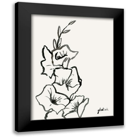 Popp, Grace 19x24 Black Modern Framed Museum Art Print Titled - Gladiola Sketch III