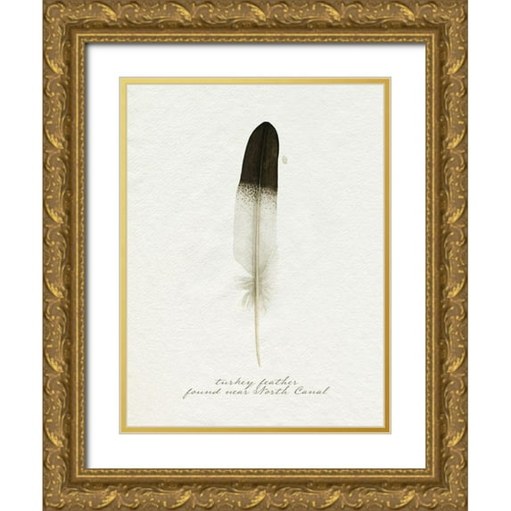 Popp, Grace 19x24 Gold Ornate Wood Framed with Double Matting Museum Art Print Titled - Found Feather IV